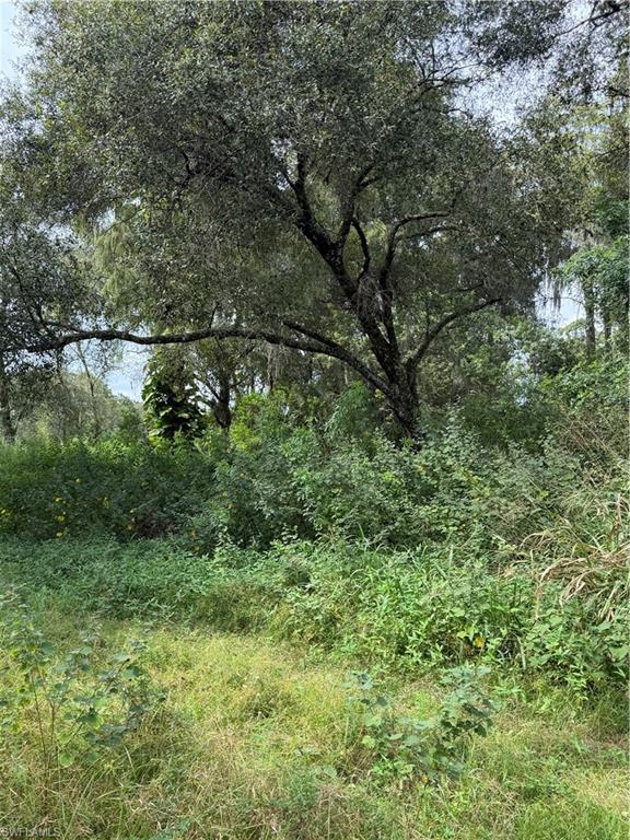 MONTURA RANCH ESTATES - Land