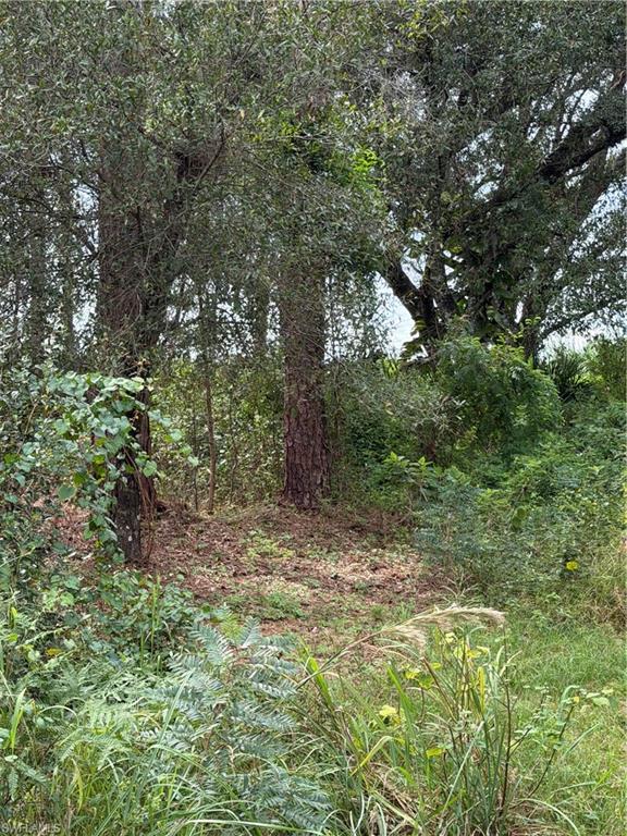 MONTURA RANCH ESTATES - Land