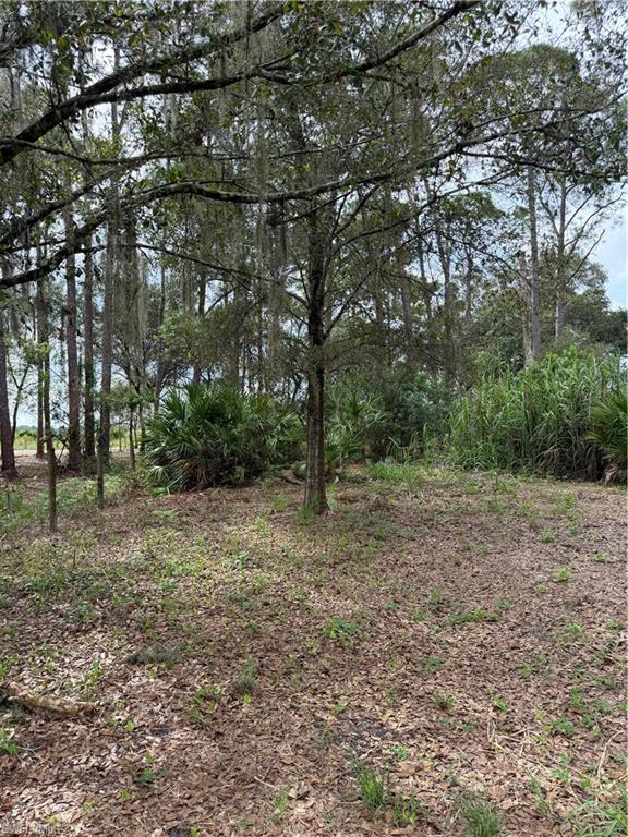 MONTURA RANCH ESTATES - Land