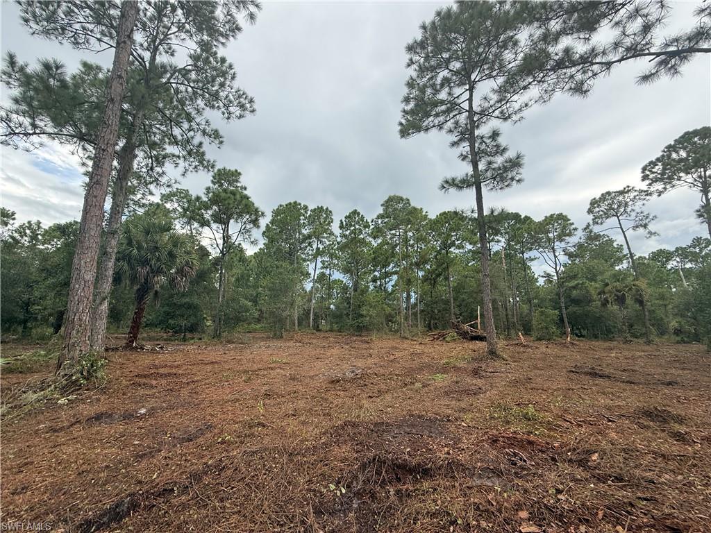 Great opportunity to own 1.07 acres in North Montura Ranch Estates! This beautiful property is conveniently located on a main paved road, has already been cleared, and features an existing driveway, saving the future owner time and preparation costs. Beautiful mature trees have been preserved throughout the property, providing shade, privacy, and character while still offering plenty of open and usable space. No HOA. Cash and bank financing for qualified buyers are available. Owner financing available with $25,000 down, balance payable monthly for up to 3 years at 0% interest. Excellent opportunity to own a cleared and easily accessible property in North Montura!