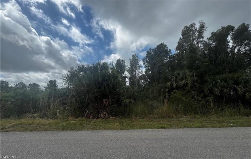 LEHIGH ACRES - Land