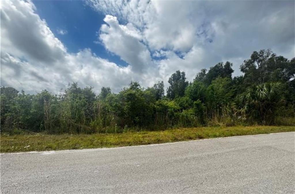 LEHIGH ACRES - Land