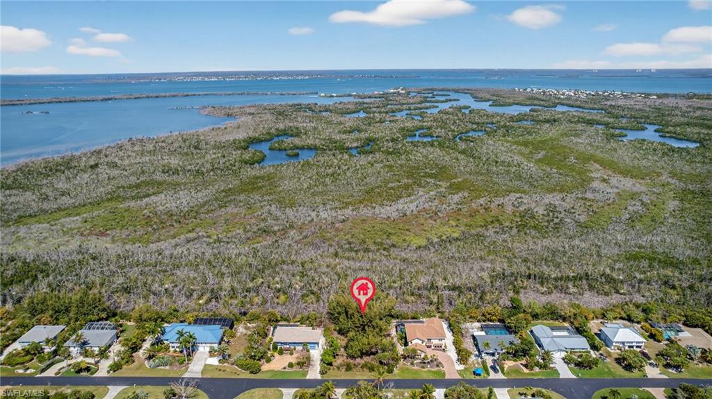 GUMBO LIMBO - Land