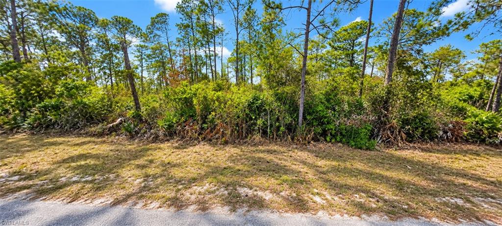 LEHIGH ACRES - Land