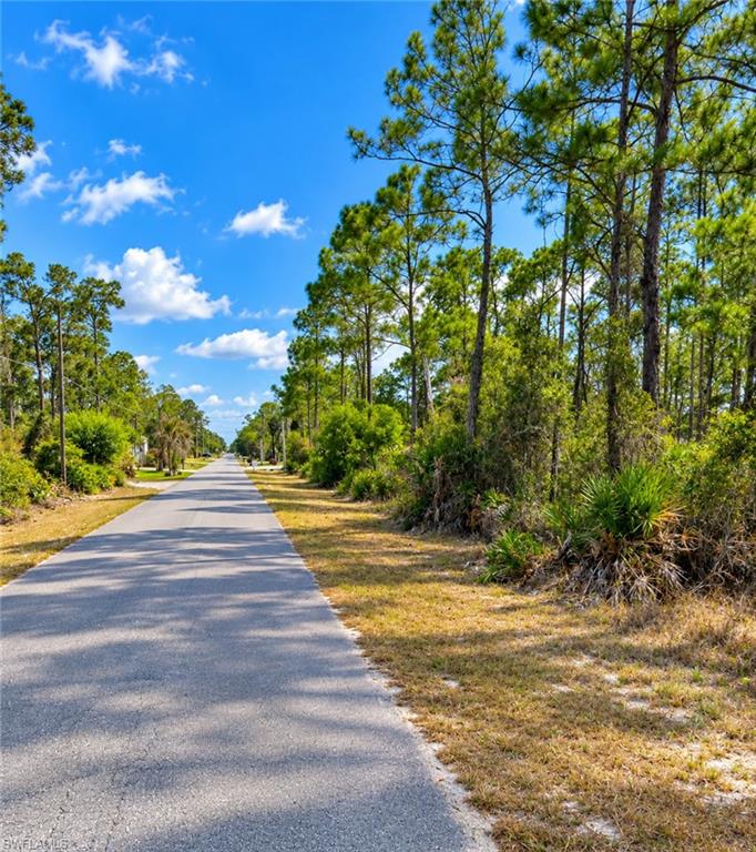 LEHIGH ACRES - Land