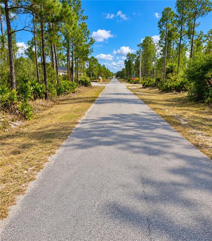 LEHIGH ACRES - Land