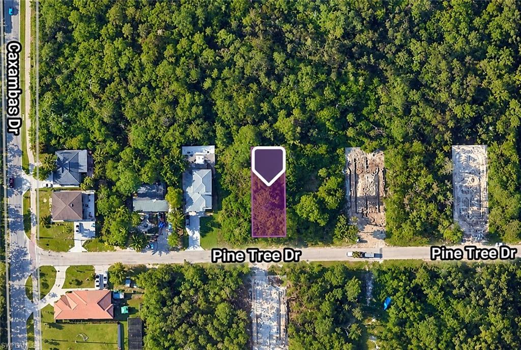 Discover an exceptional opportunity to build your dream home in the vibrant Bayshore area of Naples, where an exciting blend of coastal charm, local culture, and outdoor recreation creates a truly unique Southwest Florida lifestyle. Ideally situated on Pine Tree Drive, this vacant residential homesite offers the perfect canvas to create a custom retreat just minutes from downtown Naples and the renowned shopping, dining, and entertainment of Fifth Avenue South. Enjoy mornings exploring the beautiful Naples Botanical Garden, afternoons boating from nearby Bayview Park with access to the Gulf, and evenings discovering the area's popular waterfront restaurants, food trucks, and local gathering spots. With Naples' stunning white-sand beaches, art galleries, pickleball facilities, and endless recreational opportunities all within easy reach, this location offers the perfect balance of neighborhood tranquility and everyday convenience. Surrounded by an evolving mix of established residences and newer construction, this property presents an exciting opportunity to become part of one of Naples' growing neighborhoods. Whether envisioning a full-time residence or a seasonal escape, embrace the freedom to create your own Southwest Florida lifestyle in a location that puts so much of Naples at your fingertips.