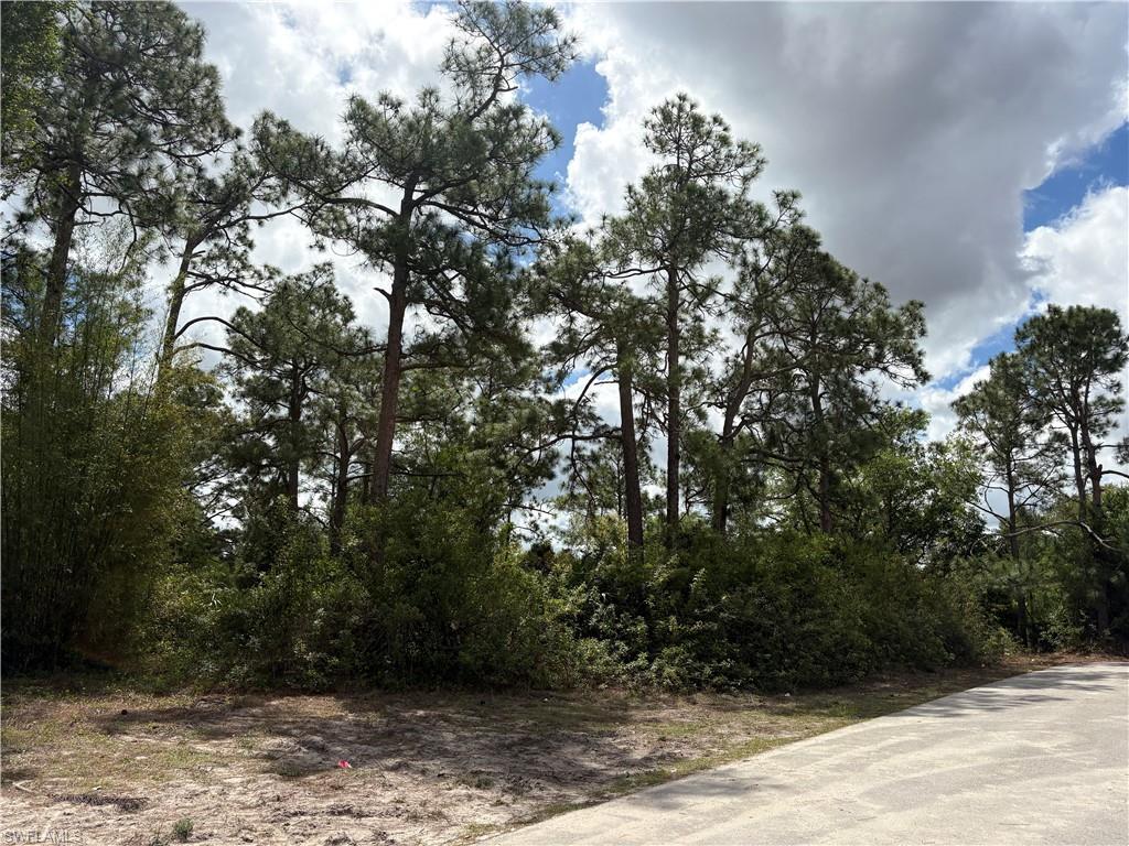 Beautiful and secluded lot in Lehigh Acres.  This wooded lot sits at the end of the street offering privacy yet close to amenities!  This lot also borders on a canal offering further privacy! This is a fantastic building site. See it today!