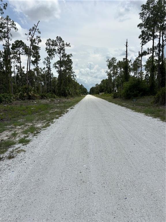 Don’t miss this excellent opportunity in Lehigh Acres! This spacious, partially cleared half-acre lot is conveniently located near Joel Blvd with easy access to major roads. The same owner is also offering the half-acre parcel directly behind this property, creating an outstanding opportunity to purchase both lots and maximize your future potential. Ideal for building your dream home or securing a valuable investment.