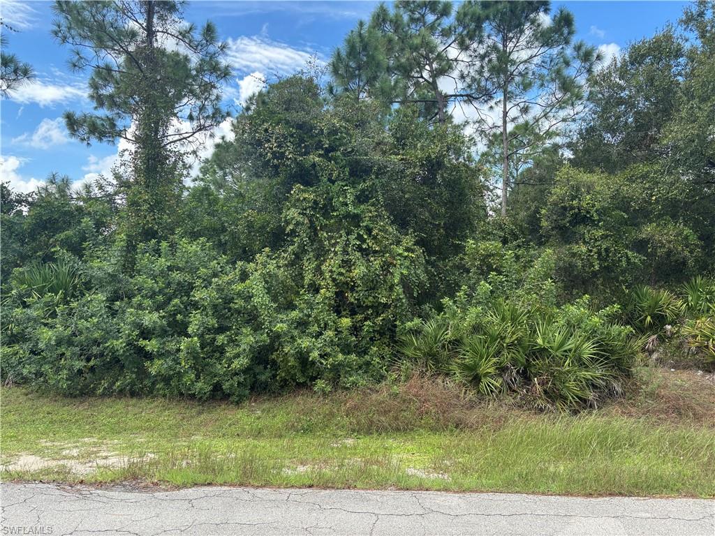 LEHIGH ACRES - Land