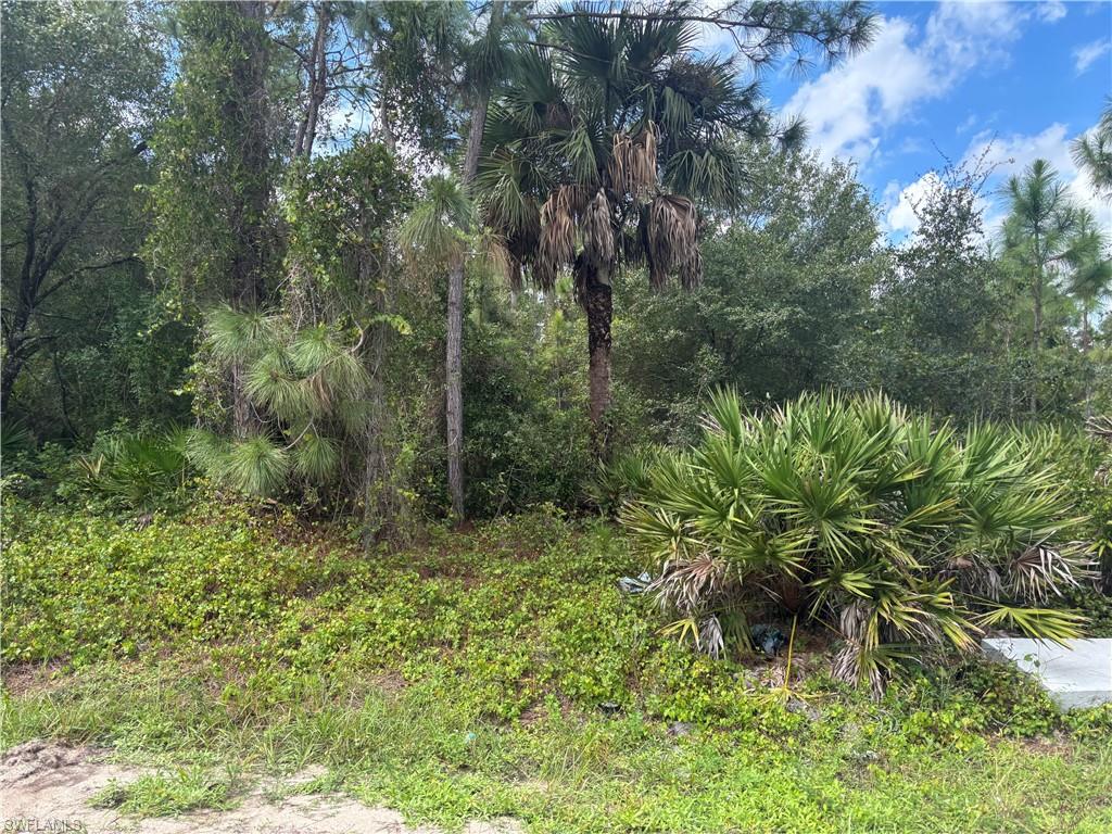 LEHIGH ACRES - Land