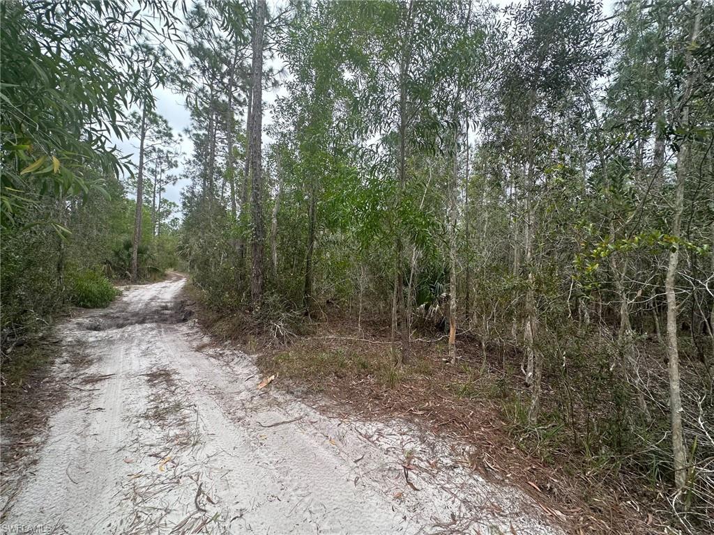NORTH FORT MYERS - Land