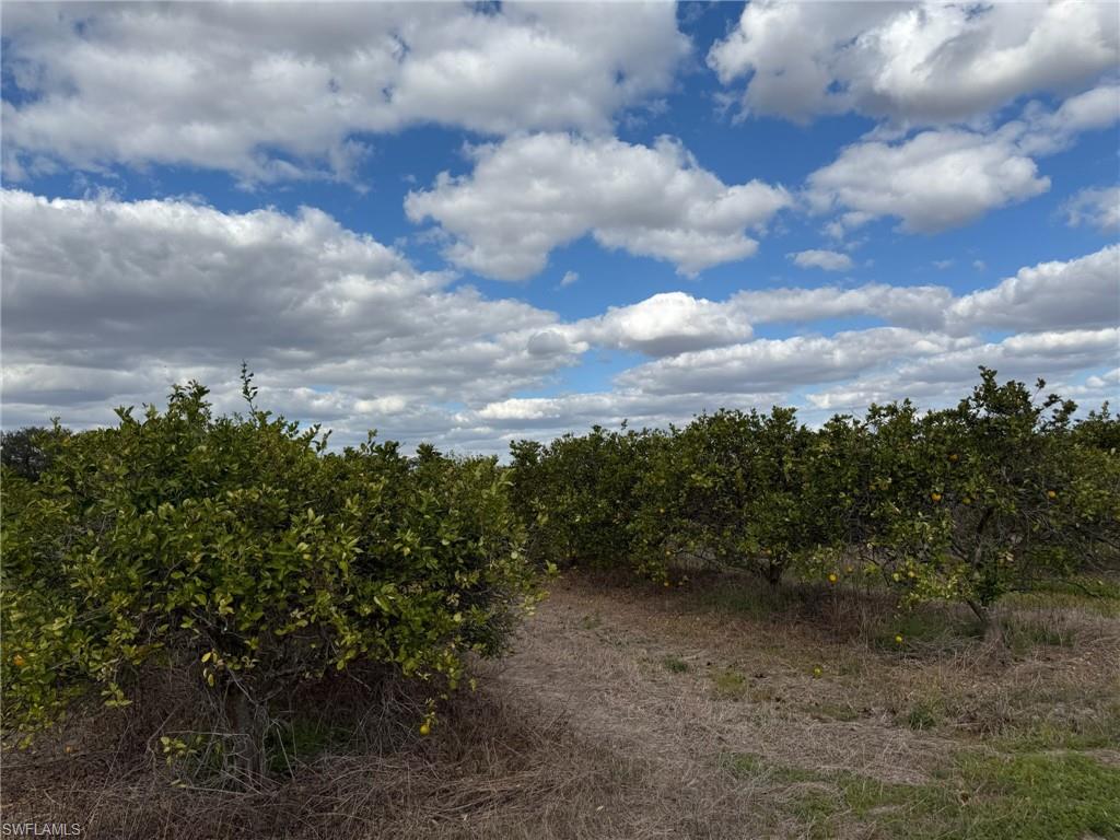 GERBER GROVES SEC 1 - Land