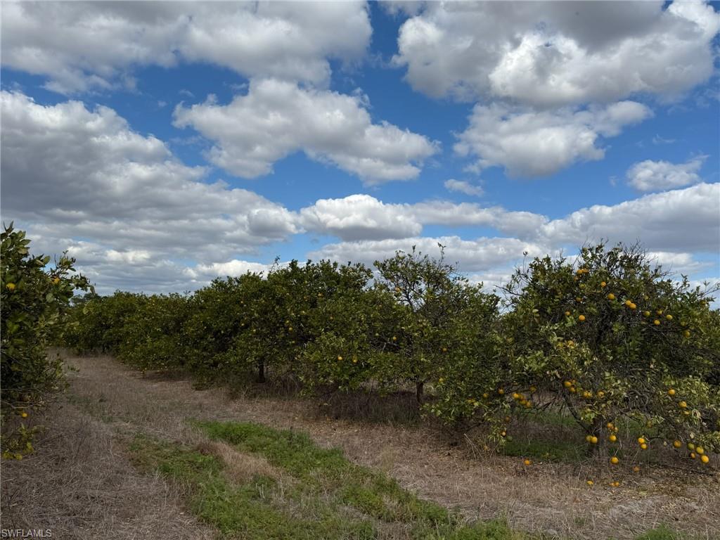 GERBER GROVES SEC 1 - Land