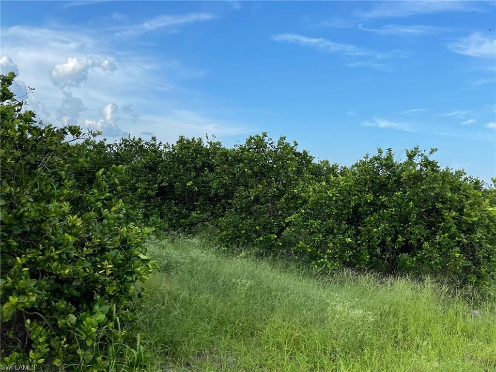 GERBER GROVES SEC 1 - Land