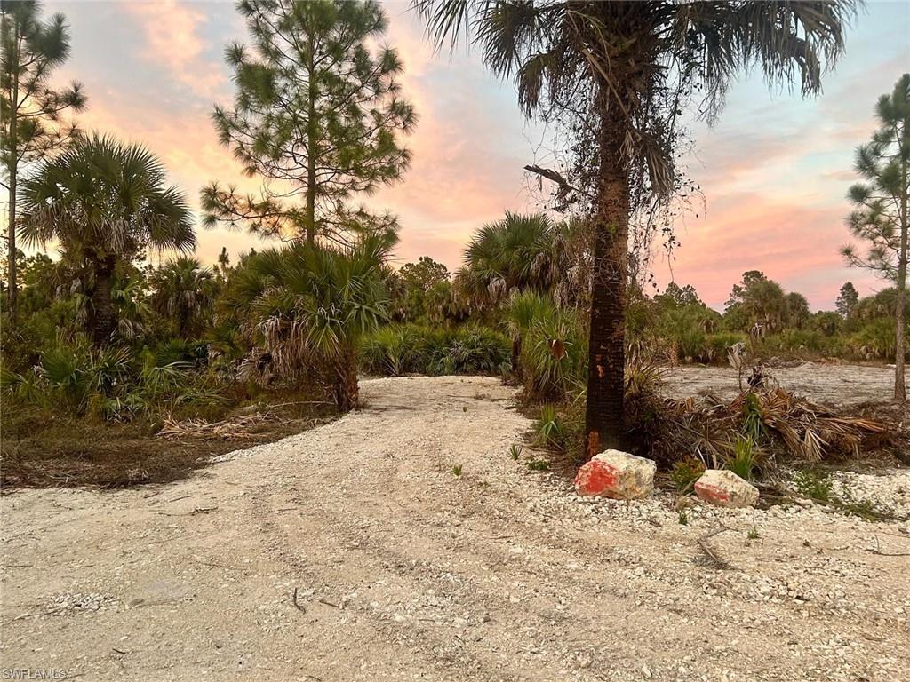 GOLDEN GATE ESTATES - Land
