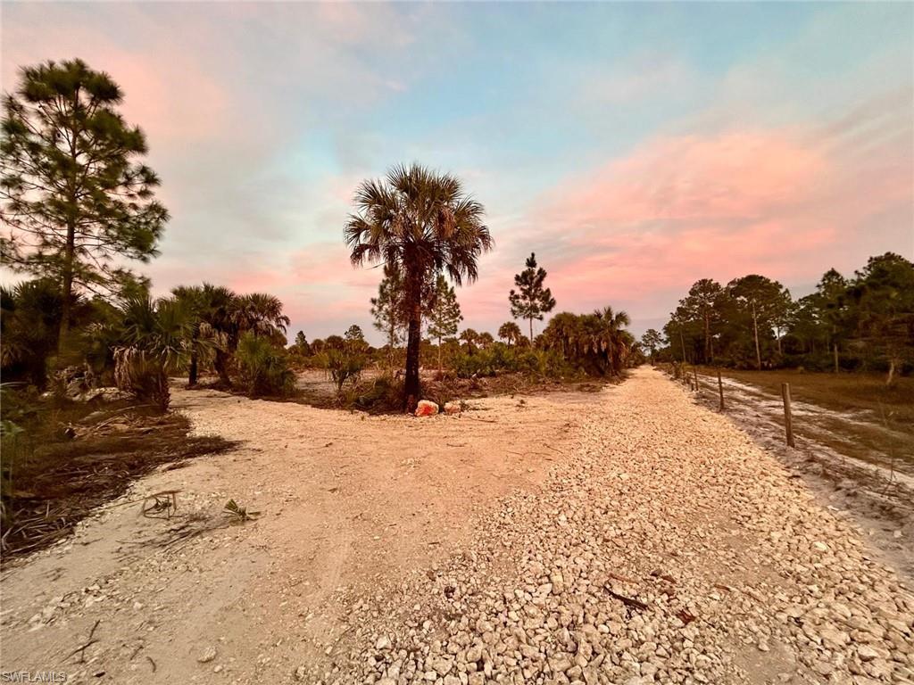 GOLDEN GATE ESTATES - Land