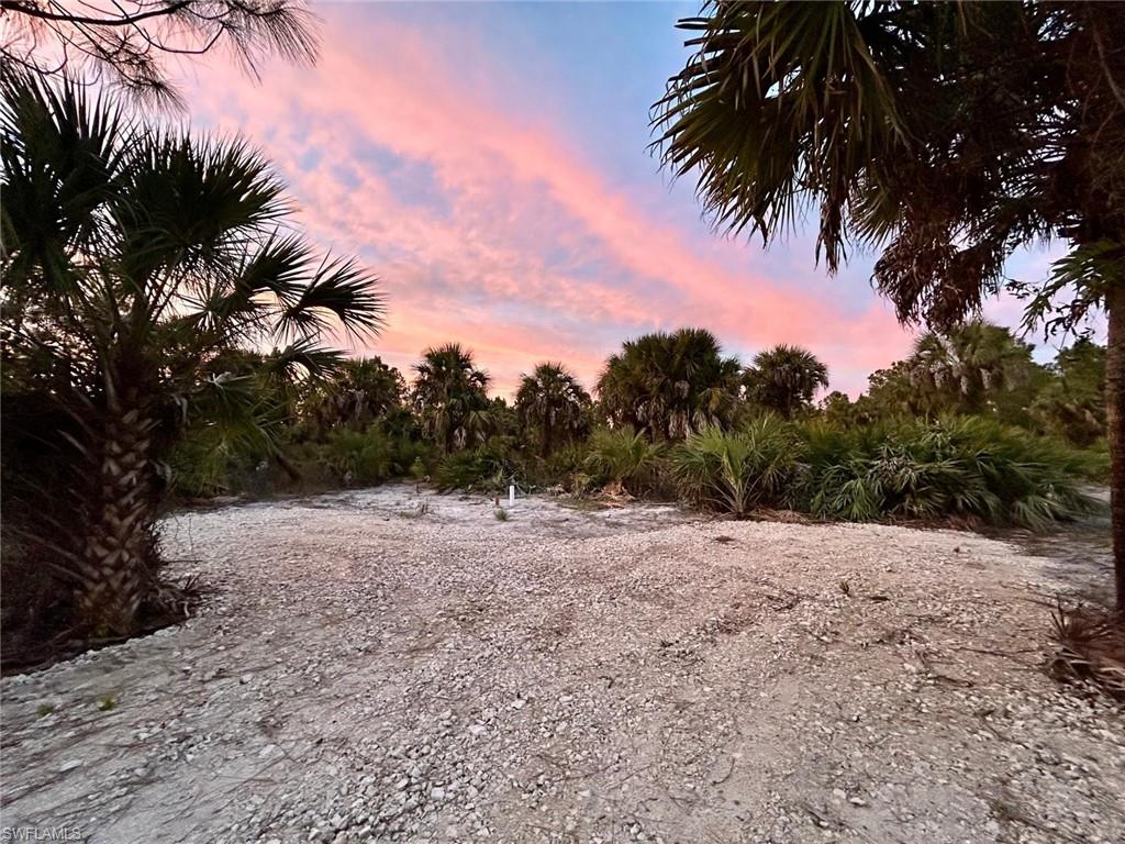 GOLDEN GATE ESTATES - Land