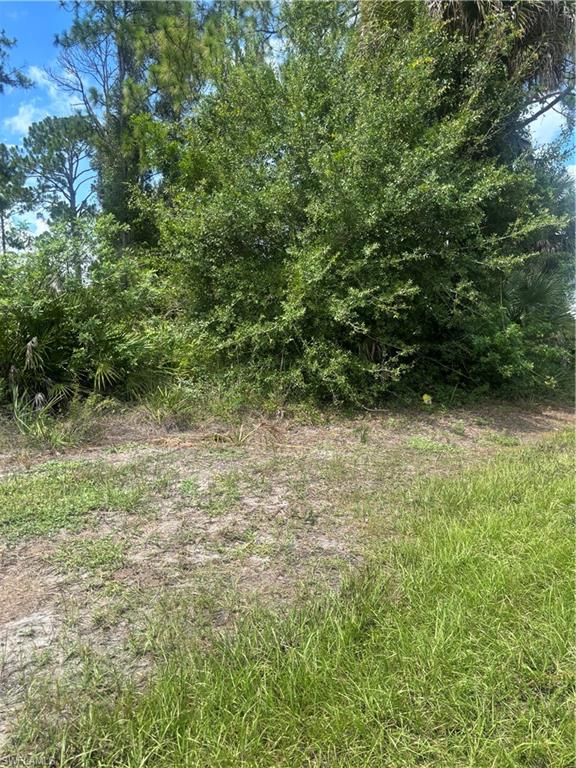 LEHIGH ACRES - Land