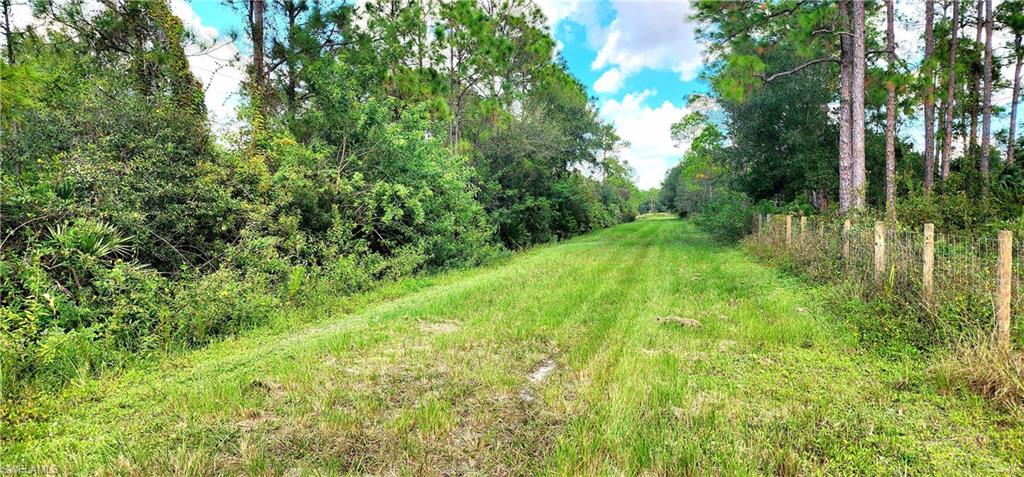 CLEWISTON - Land