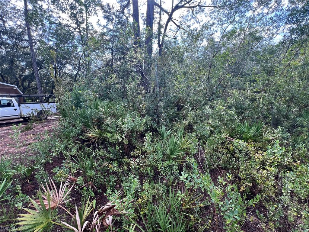 ACREAGE - Land