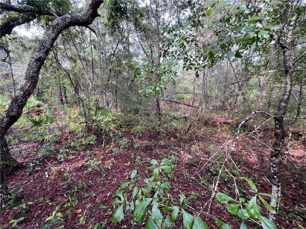 ACREAGE - Land