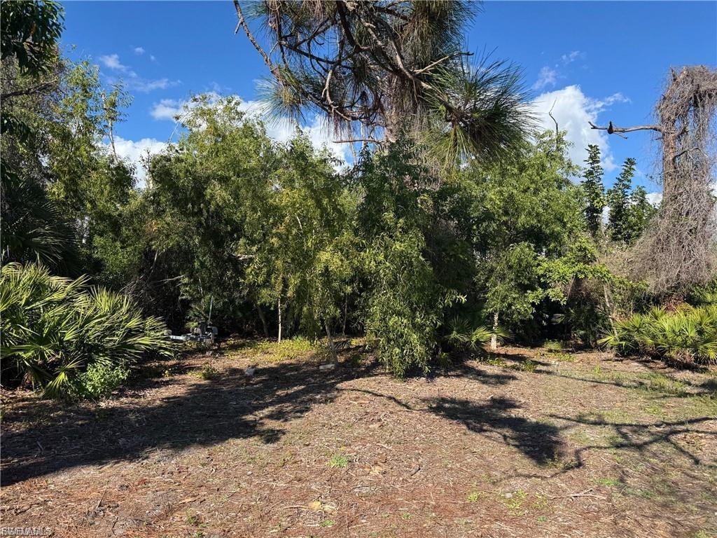 MANATEE BAY UNRECORDED SUBDIVISION - Land