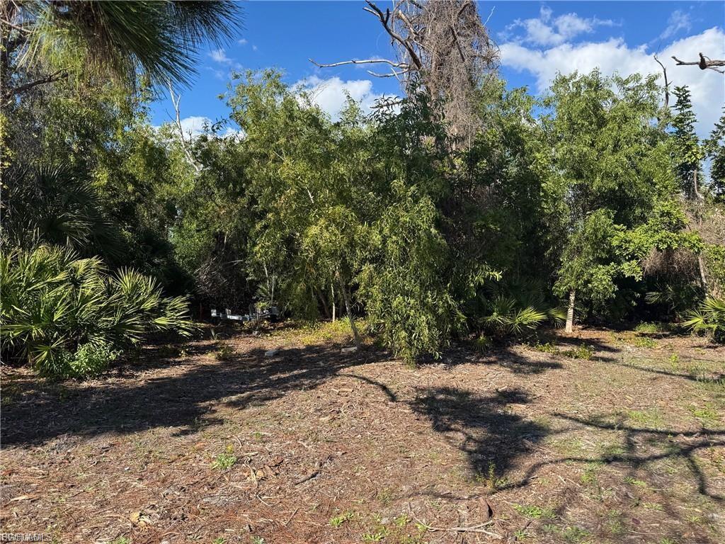 MANATEE BAY UNRECORDED SUBDIVISION - Land