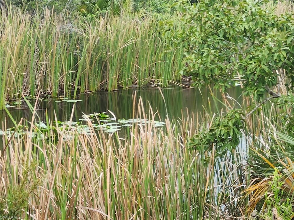 CAPE CORAL - Land