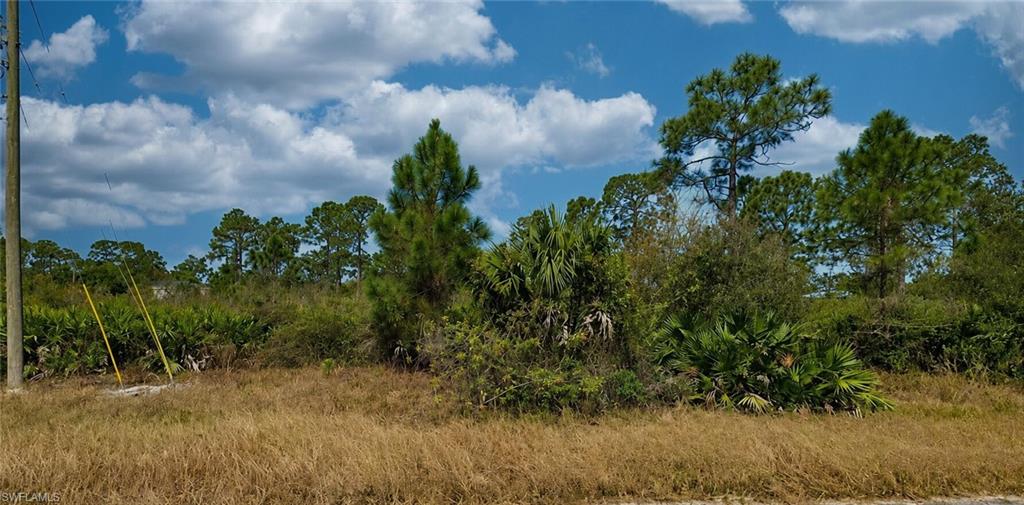 LEHIGH ACRES - Land