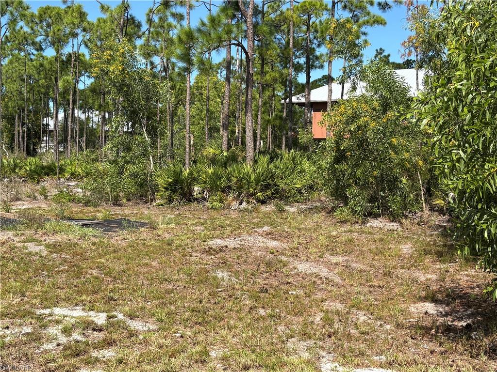 **Escape to the peaceful charm of Old Florida!** Nestled on the desirable north end of Pine Island in Bokeelia, this **half-acre lot** offers the perfect opportunity to build your dream home, weekend retreat, or private island getaway. Surrounded by tropical fruit groves, palm nurseries, and natural beauty, this quiet rural setting invites you to slow down and enjoy a more relaxed way of life. With plenty of room for a garage or outbuildings, the possibilities are yours to explore. Enjoy nearby marinas, public boat ramps, world-class fishing, charming local shops, and waterfront dining, including the historic Tarpon Lodge. Spend your days boating, fishing, biking, or simply enjoying the abundant wildlife and peaceful surroundings. Pine Island Water and electricity are available in the area. **No HOA and located outside the designated flood zone!** Experience the laid-back island lifestyle while remaining a convenient drive from Cape Coral. Your own slice of paradise awaits!