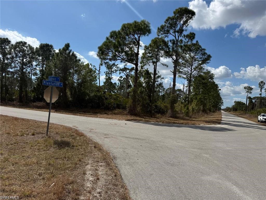 LEHIGH ACRES - Land
