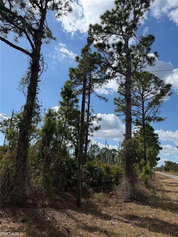 LEHIGH ACRES - Land