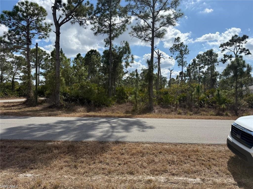 LEHIGH ACRES - Land