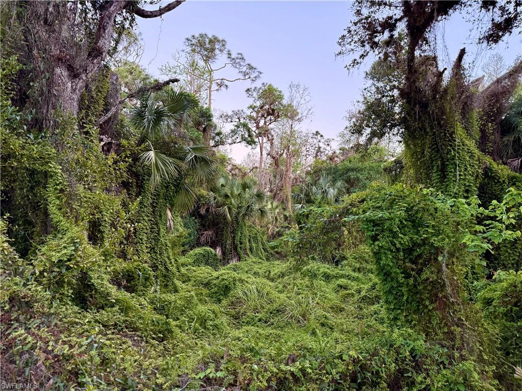 MUSE - Land
