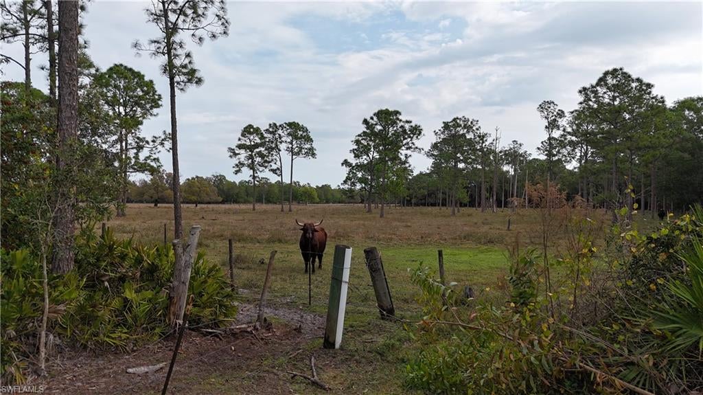 ACREAGE - Land