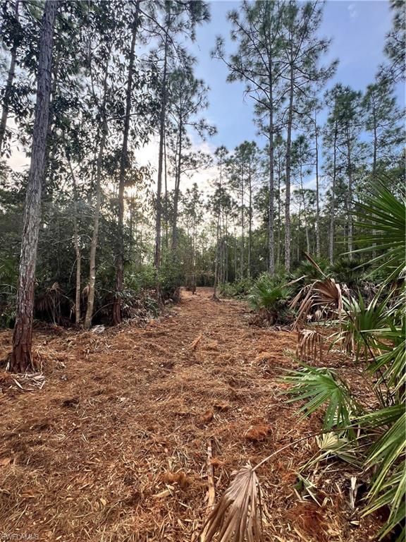 ACREAGE - Land