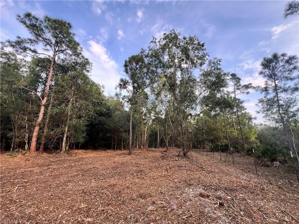 ACREAGE - Land
