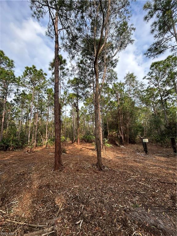 ACREAGE - Land