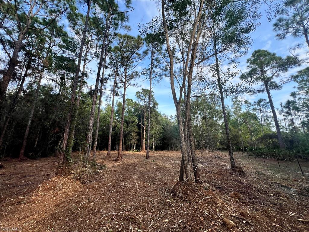 ACREAGE - Land