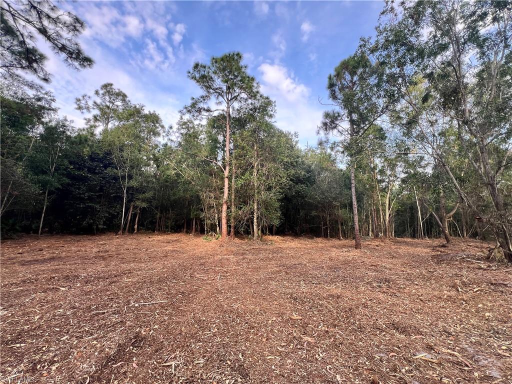 ACREAGE - Land