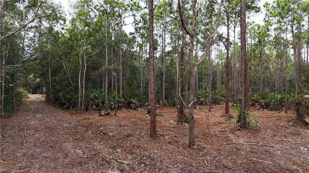 ACREAGE - Land
