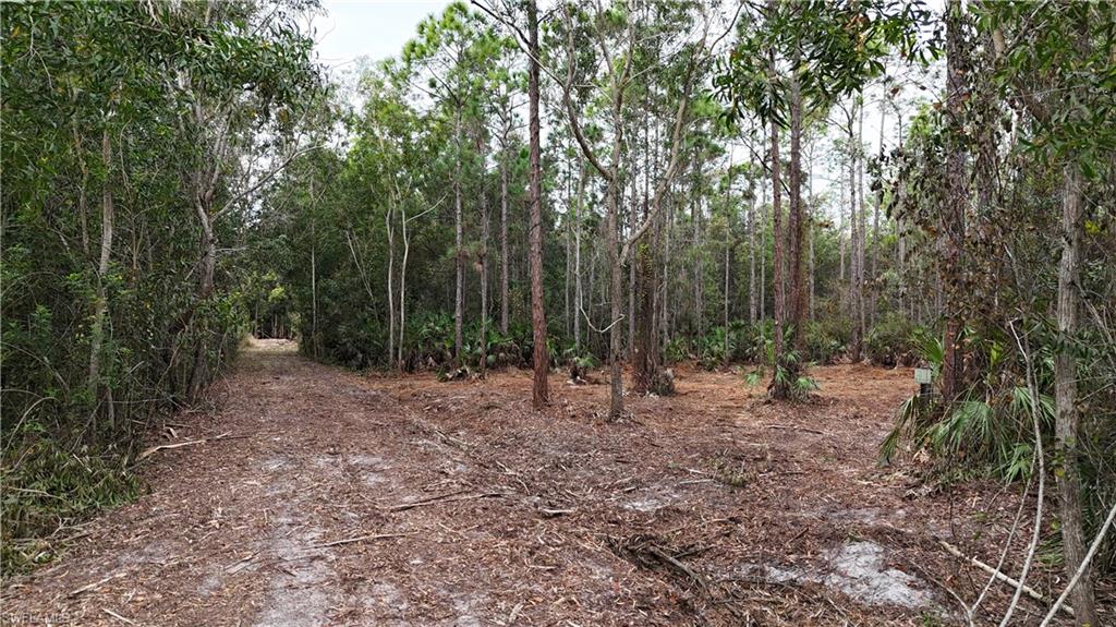ACREAGE - Land