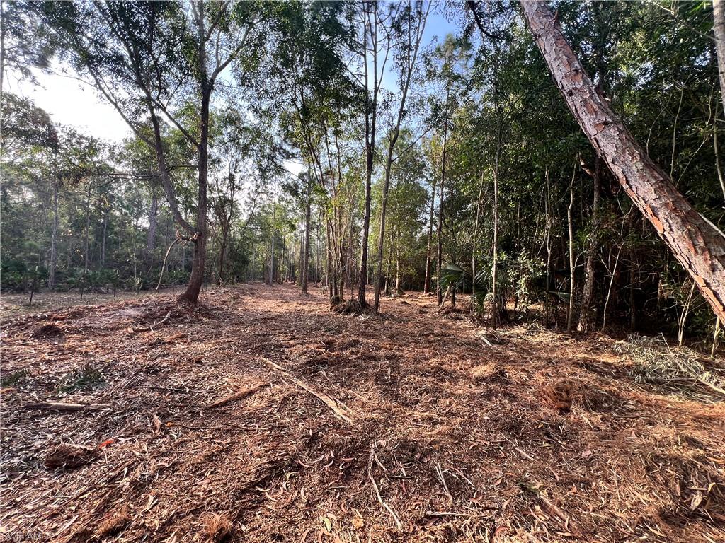 ACREAGE - Land