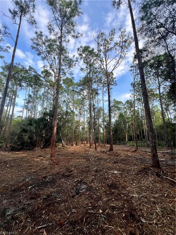 ACREAGE - Land