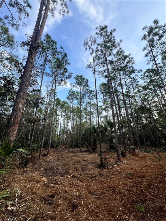 ACREAGE - Land