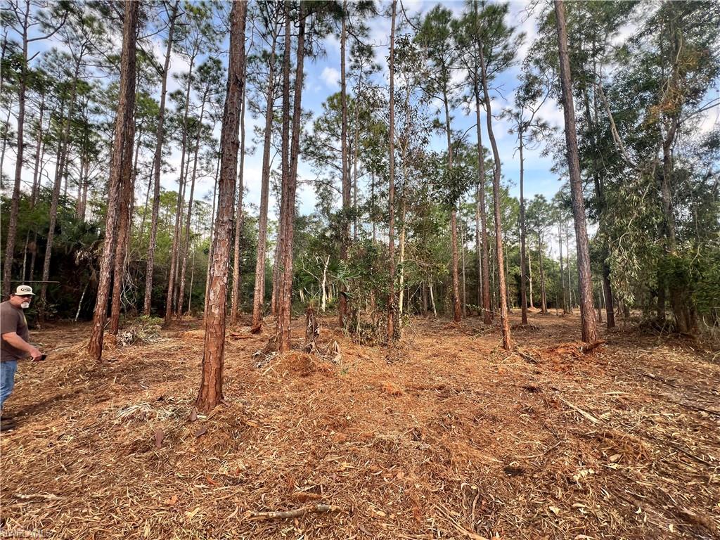 ACREAGE - Land