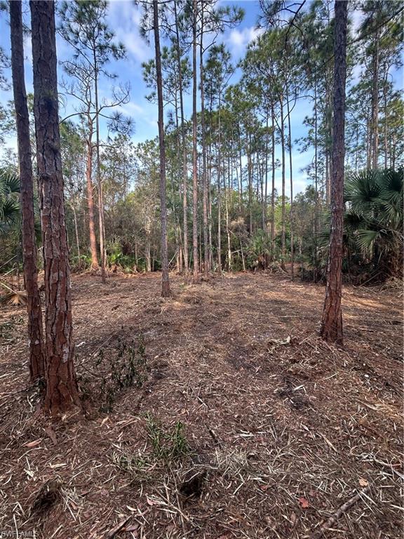 ACREAGE - Land