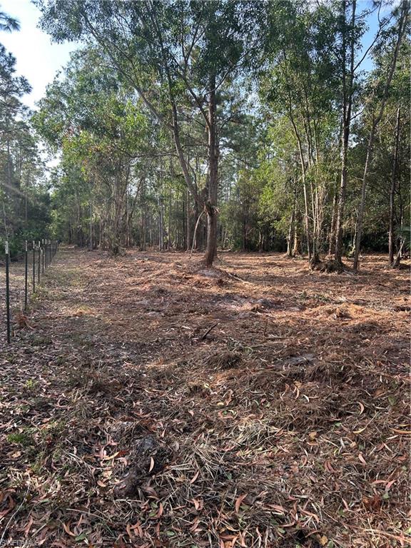 ACREAGE - Land
