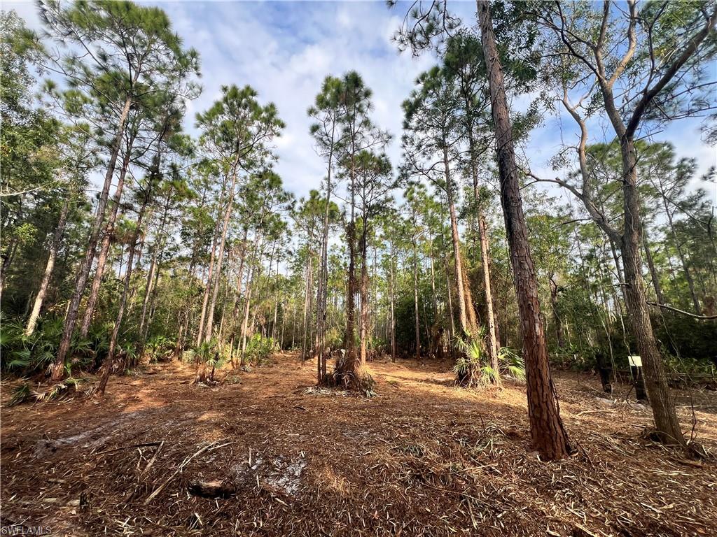 ACREAGE - Land